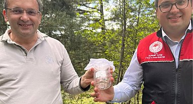 Kazdağları'nda kestane gal arısı zararlısına karşı biyolojik savaş