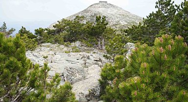Kazdağları'nın zirvesi Sarıkız doğa severlerin ilgisini çekiyor