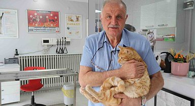 Kedisini veterinere yetiştirmeye çalışırken trafik cezası yedi, itiraz etti