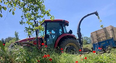 Kendi slajını üretti, süt veriminde rekor artış sağladı