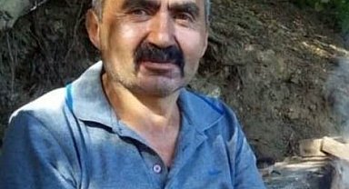 Kestiği ağacın altında kalan adam hayatını kaybetti