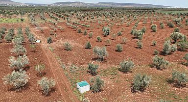 Kilis'te atık sular can suyuna dönüşüyor