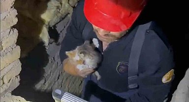 Kırıkkale'de havalandırma boşluğuna düşen yavru kediler kurtarıldı