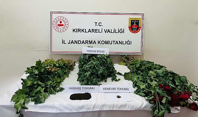 Kırklareli'nde uyuşturucu operasyonu: 8 gözaltı