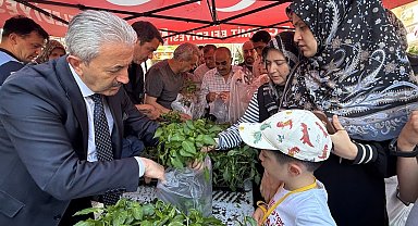 Kocaeli İzmit Belediyesinden halka fide desteği