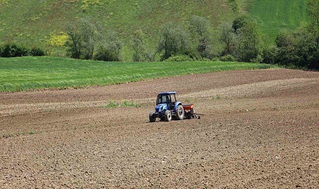 Kocaeli'de mısır tohumları toprakla buluşuyor