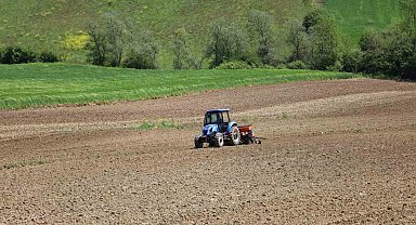 Kocaeli'de mısır tohumları toprakla buluşuyor