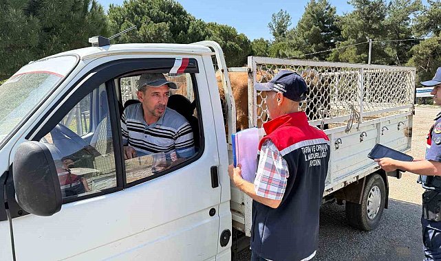 Koçarlı'da canlı hayvan nakil araçları denetlendi