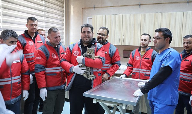 Kocasinan Belediyesi'nden veterinerlik personeline sertifikalı eğitim