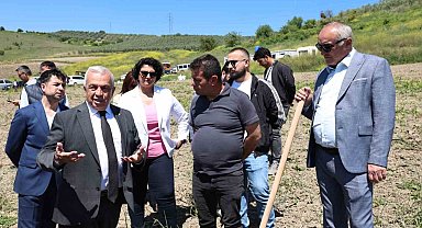 Konaklı'da 800 zeytin fidanı toprakla buluştu
