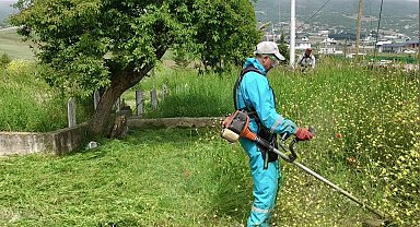Körfez'de yabani otlarla mücadele sürüyor