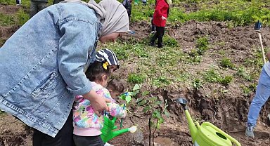 Koruyucu aileler adına 250 ıhlamur fidanı toprakla buluştu
