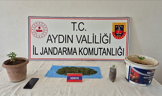 Köşk'te uyuşturucu baskını: 1 gözaltı