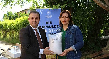 Köyceğizli üreticilere yerli Susam tohumu dağıtıldı