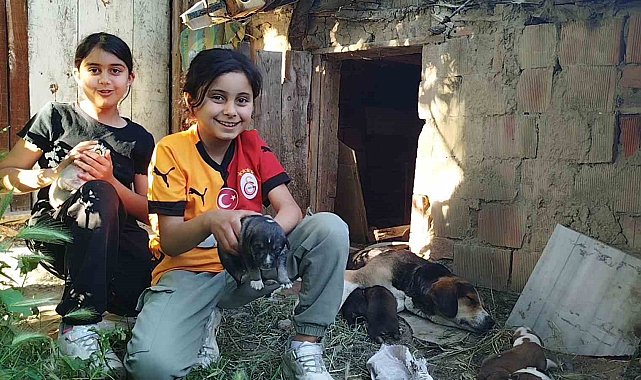 Küçük çocuklardan yürek ısıtan davranış