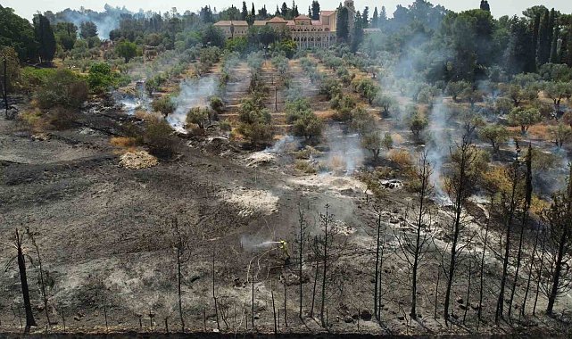 Kudüs'te devam eden yangınlar 5 bin dönümlük alanı küle çevirdi