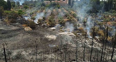 Kudüs'te devam eden yangınlar 5 bin dönümlük alanı küle çevirdi