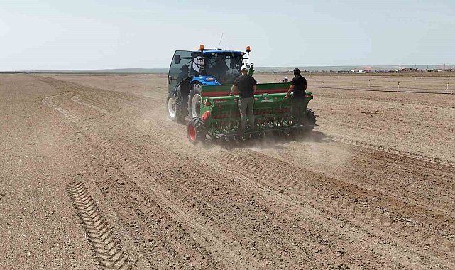 Kulu'da kenevir ekimi başladı