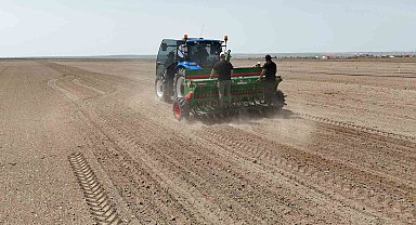 Kulu'da kenevir ekimi başladı