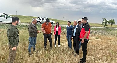 Kulu'da kıraç arazilerde hasat yapılamayacak
