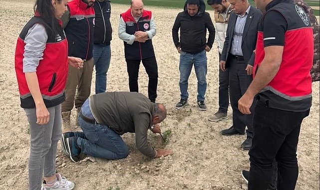 Kulu'da tarım alanlarında kontroller devam ediyor
