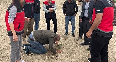Kulu'da tarım alanlarında kontroller devam ediyor