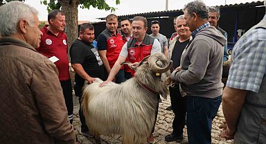 Kurban pazarlarında sağlık ve hijyen kontrolü