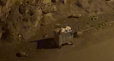 Kurt sürüsü ilçe merkezine indi