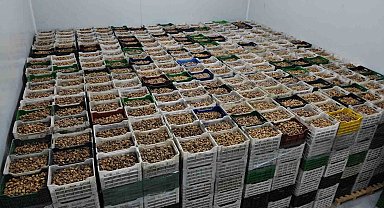 Kuru incir ihracatı yüzde 28 büyüdü