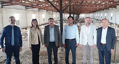 Kütahya'da Pekin ördeği çiftliği