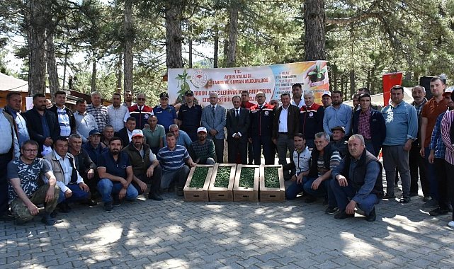 Kuyucak'ta 220 bin domates fidesi dağıtıldı