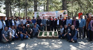 Kuyucak'ta 220 bin domates fidesi dağıtıldı