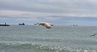 Limana hapsoldular: 5 gündür çıkamıyorlar