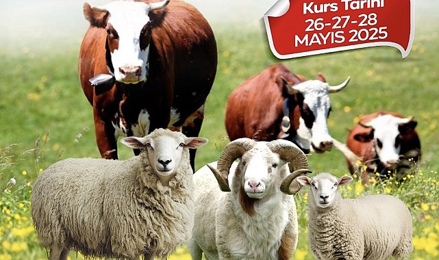 Malatya Büyükşehir Belediyesi'nden kurban kesim kursu