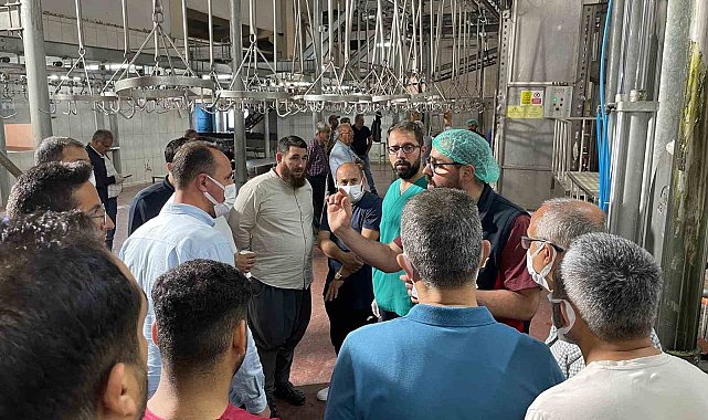 Malatya Büyükşehir Belediyesi'nden vatandaşlara 'sertifikalı kurban kesim elemanı' eğitimi