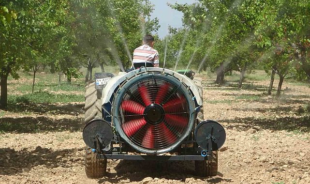 Malatya'da yeniden yeşeren kayısı ağaçları çiftçileri umutlandırdı