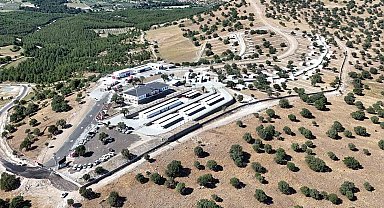 Manisa'da sokak hayvanları için örnek proje hayata geçti