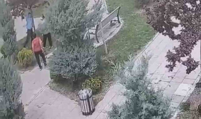 Mardin'de ağaçlara zarar veren bir grup genç, güvenlik kameralarına yakalandı