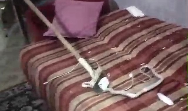 Mardin'de evde yakalanan yılan doğaya salındı
