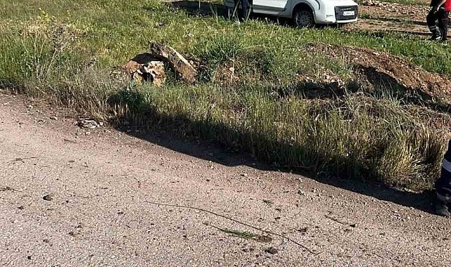 Mardin'de hafif ticari araç boş alana uçtu: 4 kişi yaralandı