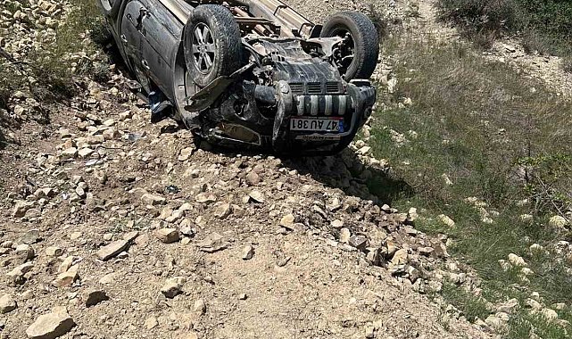 Mardin'de otomobil yamaçtan düştü: 1 yaralı