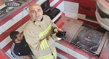 Mardin'de otomobilin motor bölümüne sıkışan yavru kedi kurtarıldı