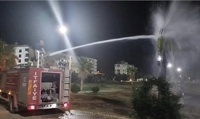 Mardin'de palmiye ağacı ateşe verildi