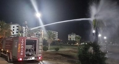 Mardin'de palmiye ağacı ateşe verildi