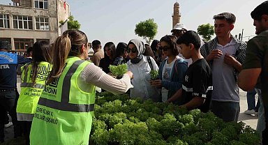Mardin'de vatandaşlara 60 bin fesleğen dağıtıldı