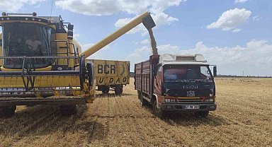 Mardin'de yılın ilk buğdayı tonu 17 bin liradan satıldı