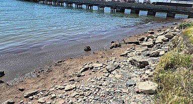 Marmara Denizi'nin Tekirdağ kıyılarında kızıl yosun birikintisi oluştu