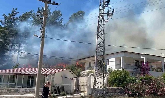 Marmaris'te orman yangını
