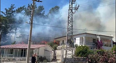 Marmaris'te orman yangını