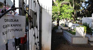 Marmaris'te vatandaşı canından bezdiren domuzlar, şimdi de mezarları tahrip etmeye başladı